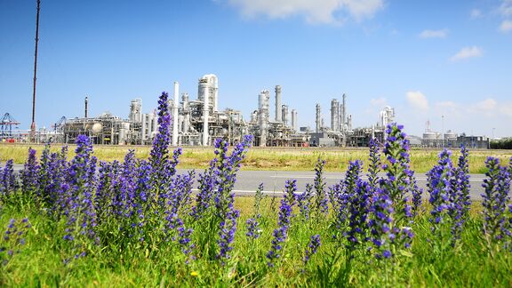 Raffinaderij met lavendel op de voorgrond