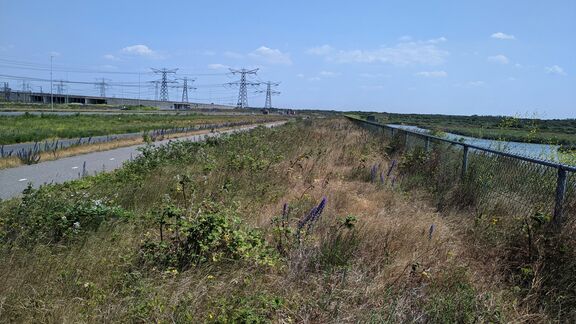 Vogelvallei Maasvlakte