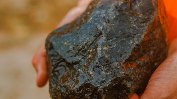 De gelige 'spikkels' op de steen zijn jonge oesters. Foto: Lex Bezemer