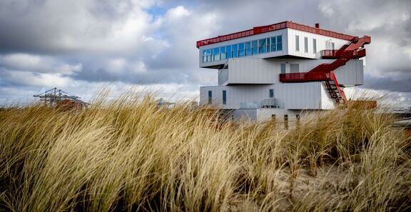 Portlantis aus den Dünen © Robin Utrecht