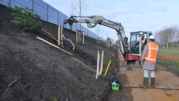 Boomplantwerkzaamheden langs de Droespolderweg met een kleine graafmachine en twee medewerkers.