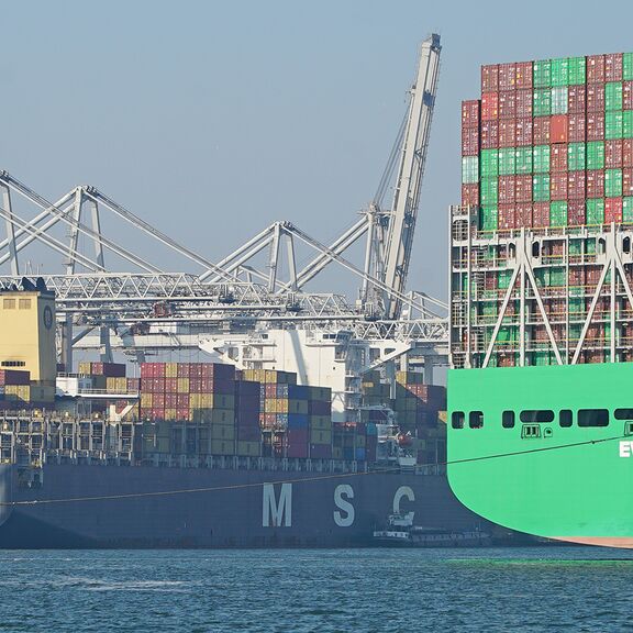 Ever Apex MSC ECT Maasvlakte Kees Torn