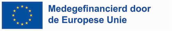 Logo Meegefinancierd door de Europese Unie