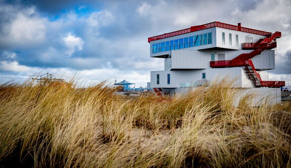 Portlantisgebouw temidden van duingras