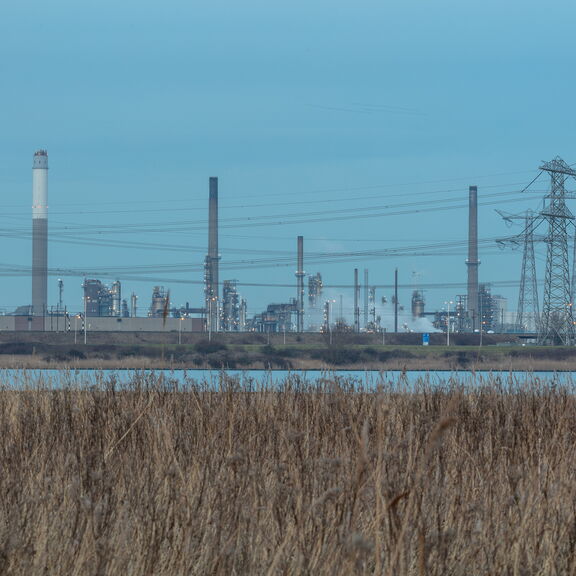 Foto van Industrie in de haven