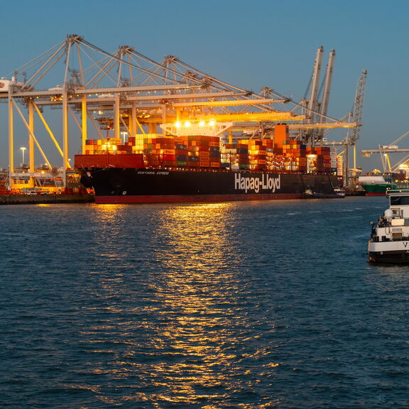 Containerschiffe im Amazonehaven