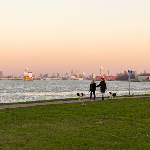 twee vrouwen aan de wandel met de honden langs de waterkant